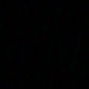 Meet your Posher, Mayra